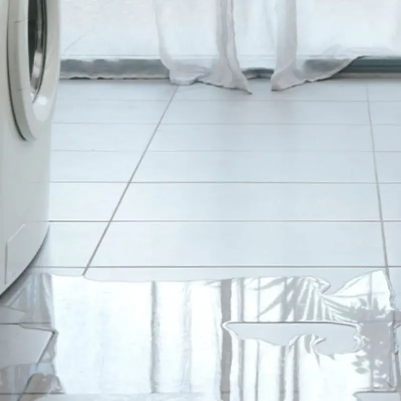 Appliance Leak Cleanup in Higginsville, MO