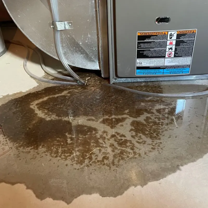 Pipe Burst and Leak Restoration in Higginsville, MO