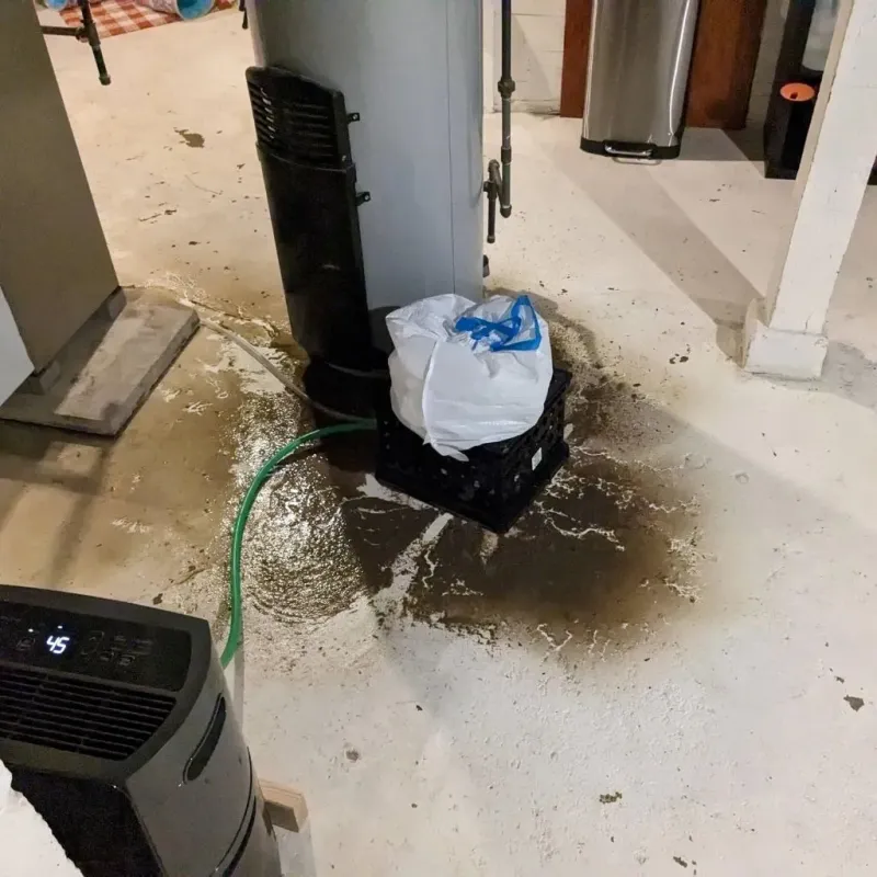 Sewage Backup Cleanup Service in Higginsville, MO